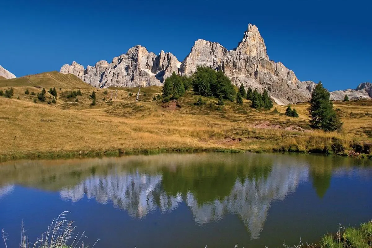 Alloggio per agriturismo Agriturismo San Micel Villa Fonzaso Italia